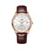 Exquisite 3 Hands Date Automatic Leather Watch 