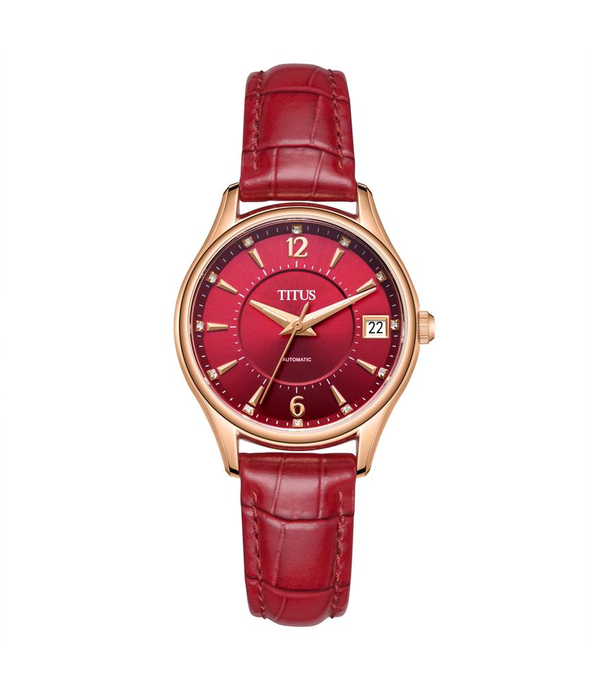 Exquisite 3 Hands Date Automatic Leather Watch 